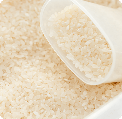 おいしさが長持ちする正しいお米の保存方法